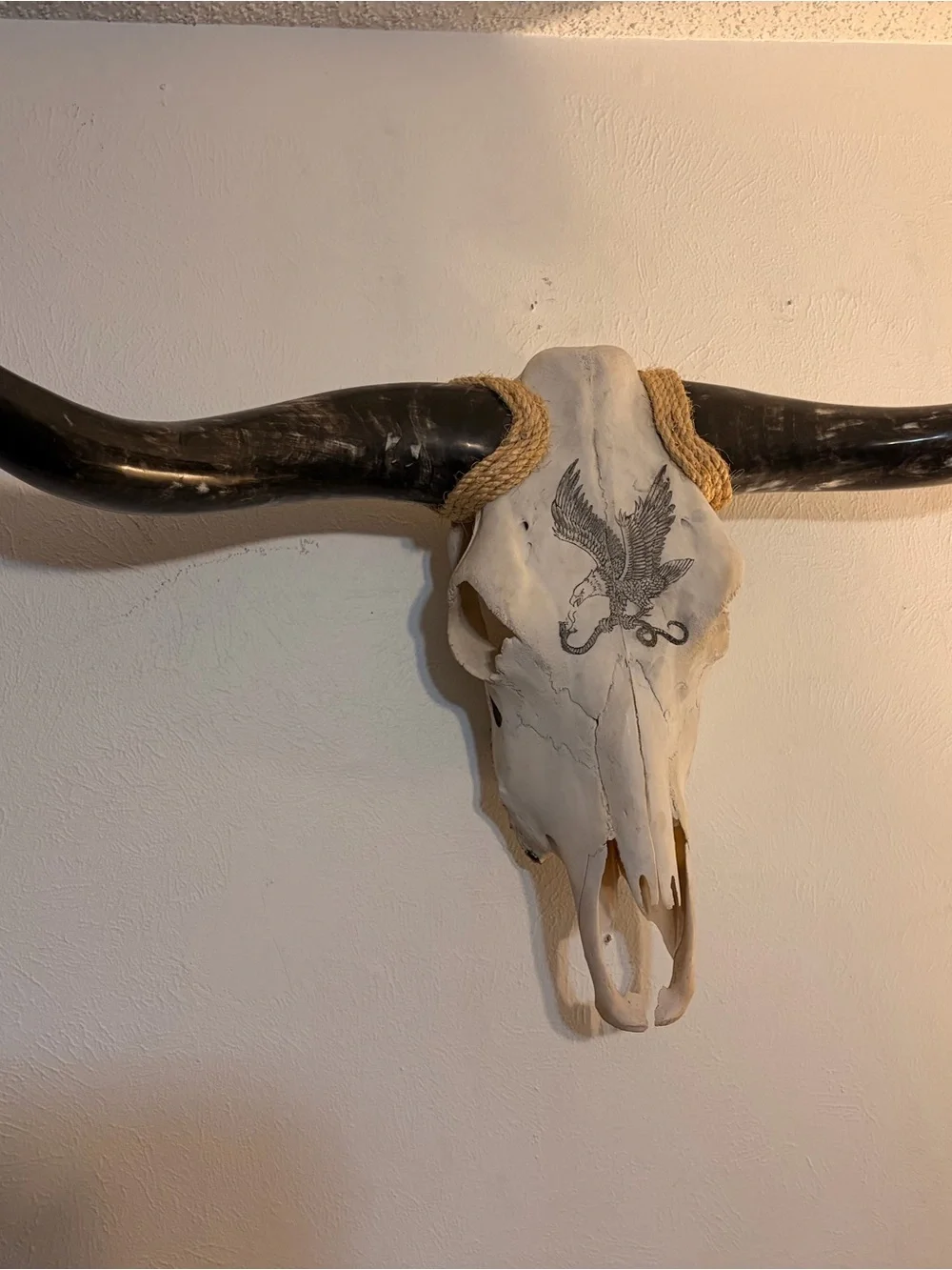Decorative Longhorn Skull Wall Accent in White and Black